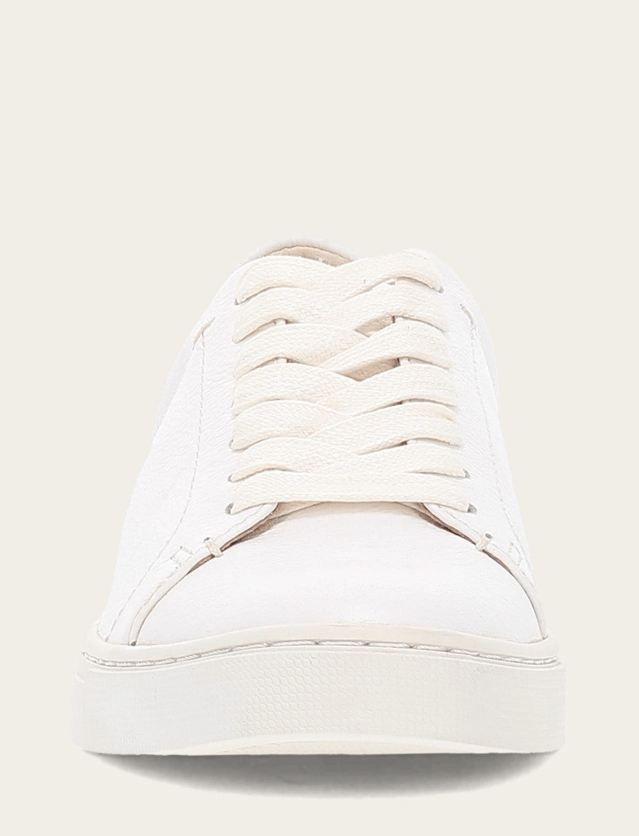 Women's White Ivy Low Lace Sneakers - White