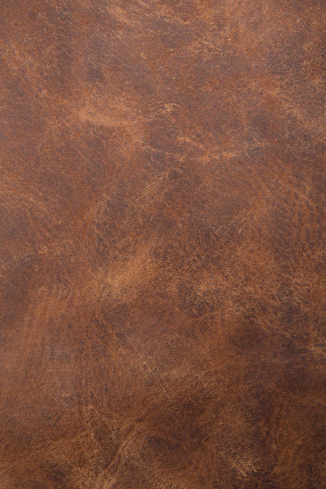 Melissa Cognac Hobo - Cognac