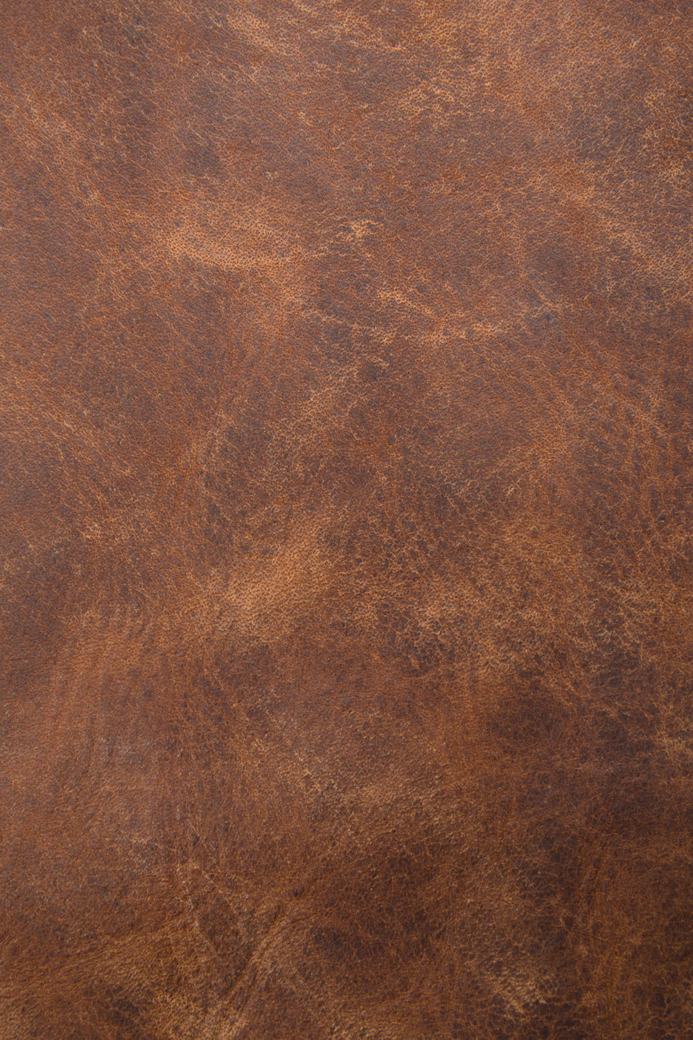 Melissa Cognac Hobo - Cognac