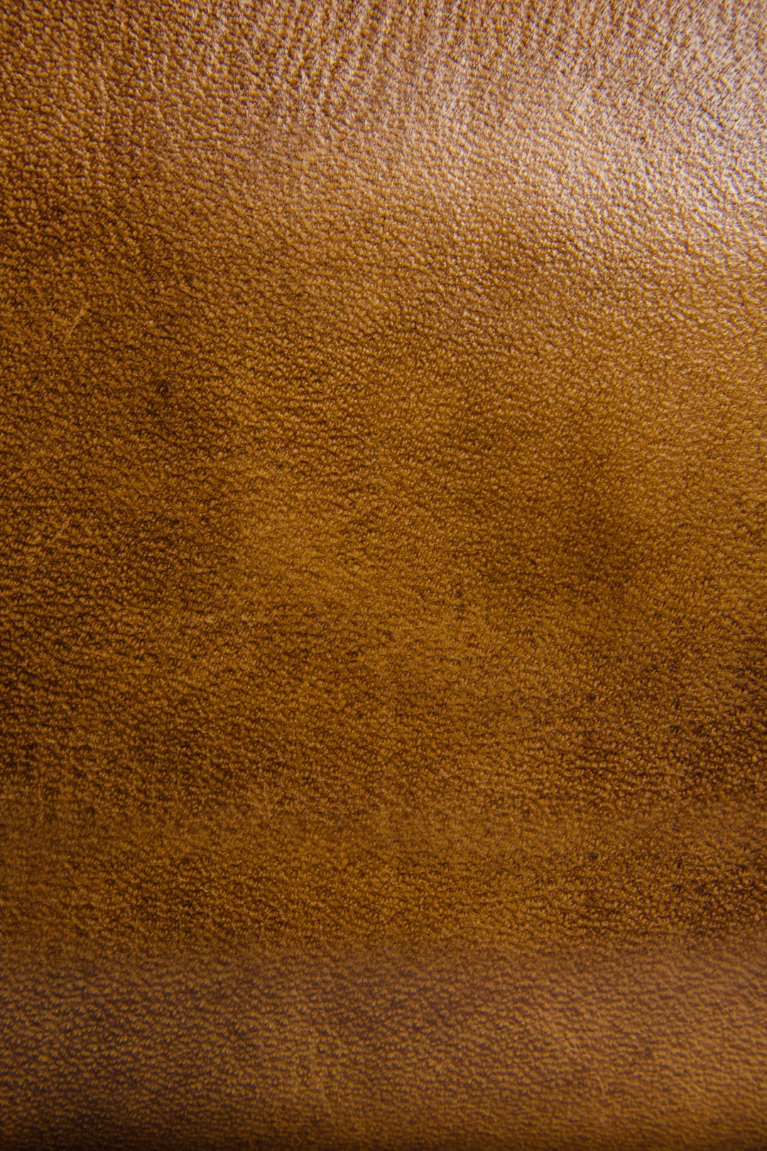 Melissa Beige Zip Wallet - Beige