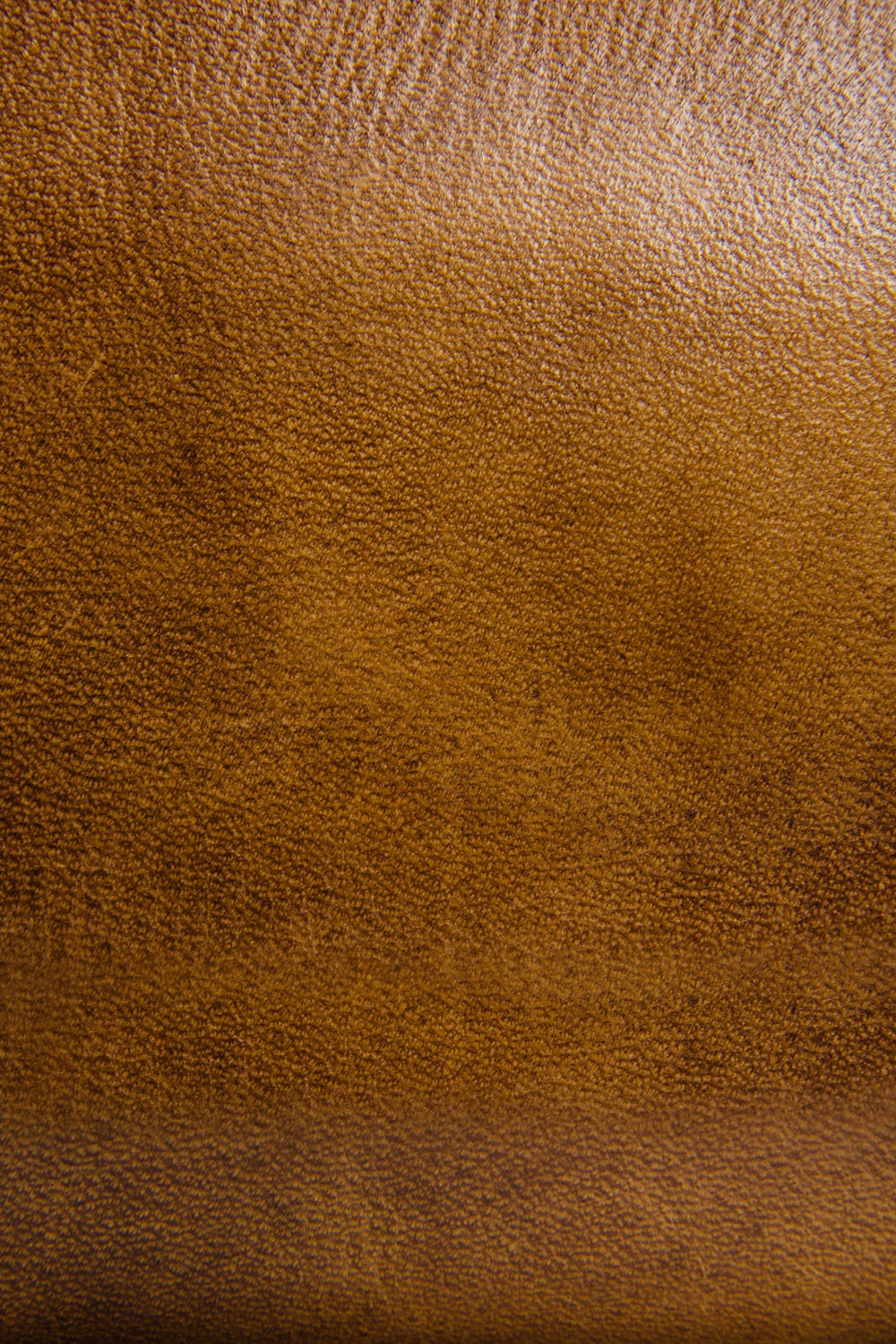 Melissa Beige Zip Wallet - Beige