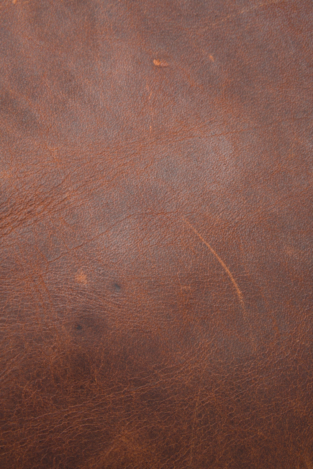 Logan Cognac Backpack - Cognac