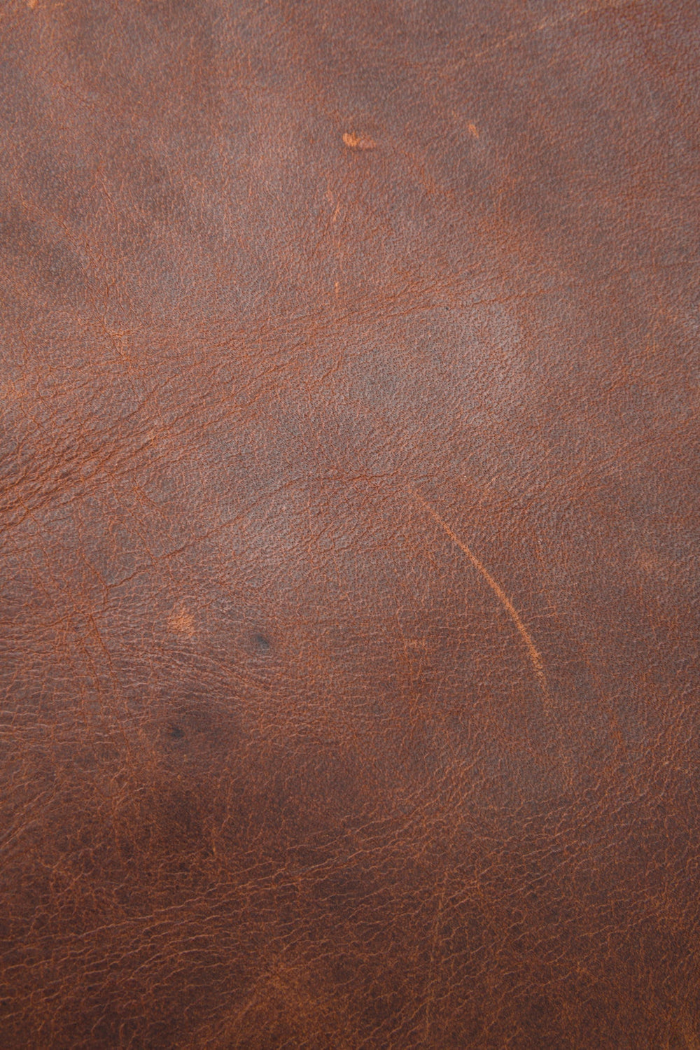 Logan Cognac Backpack - Cognac