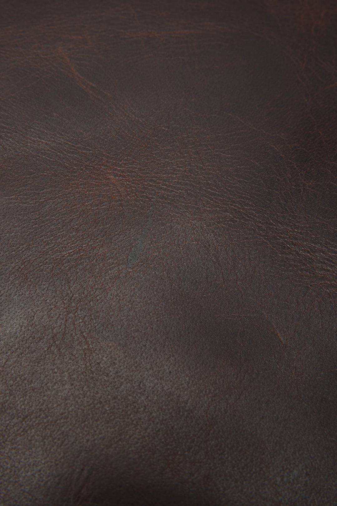 Logan Dark Brown Backpack - Dark Brown