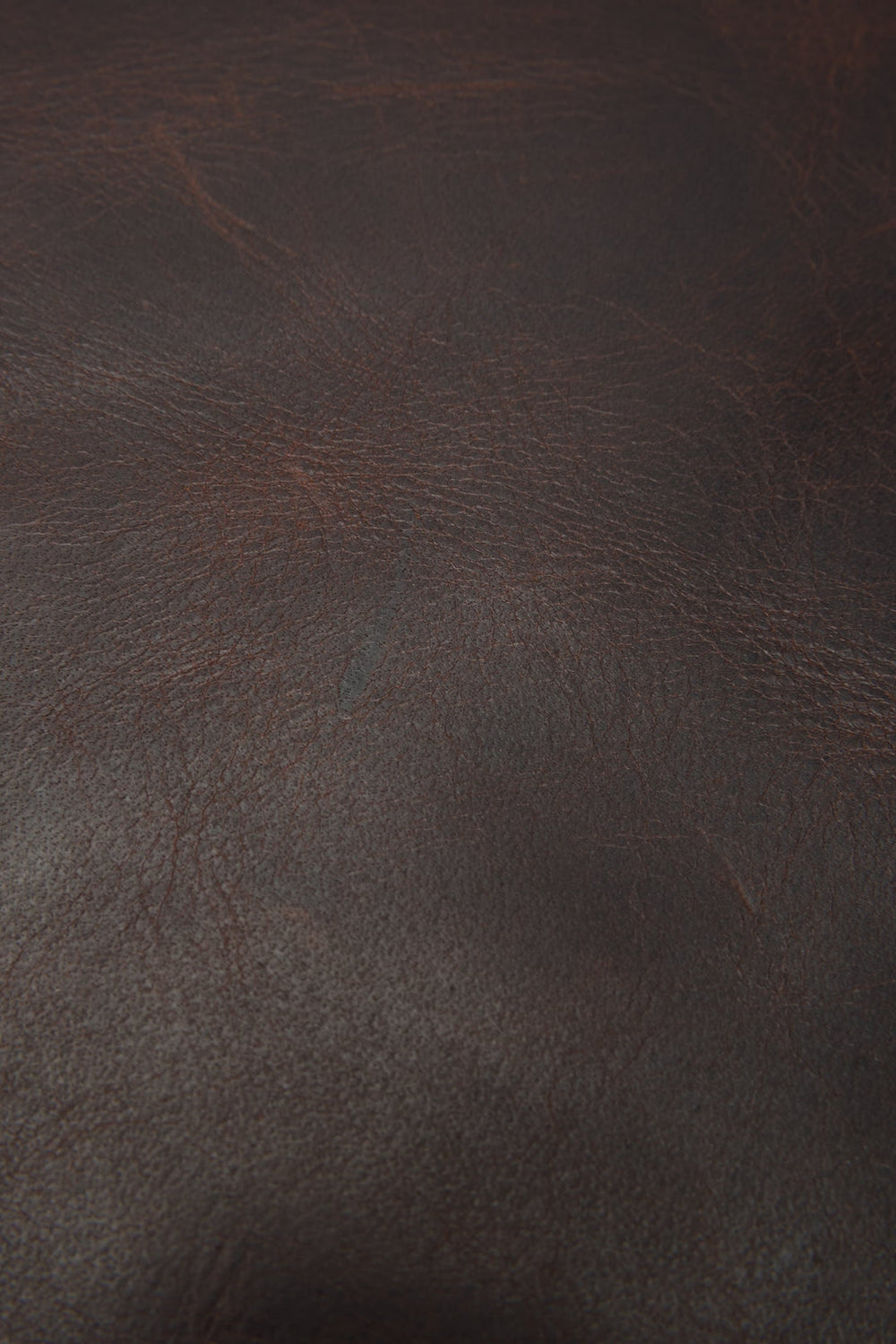 Logan Dark Brown Backpack - Dark Brown