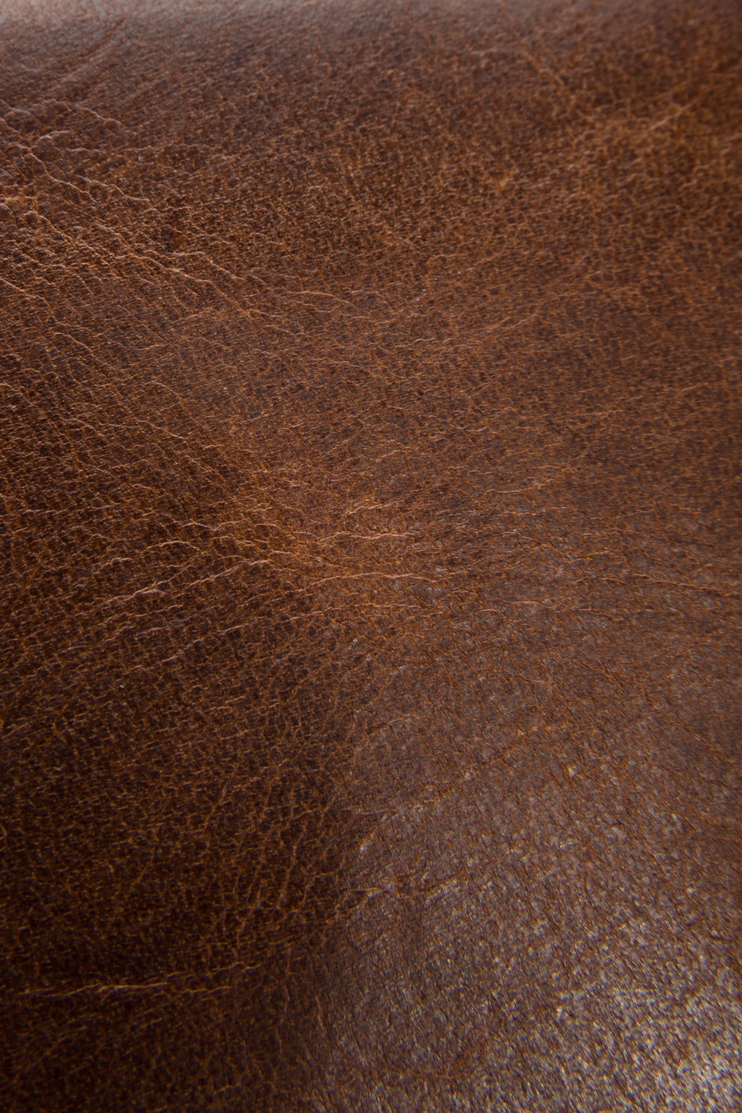 Logan Cognac Billfold - Cognac