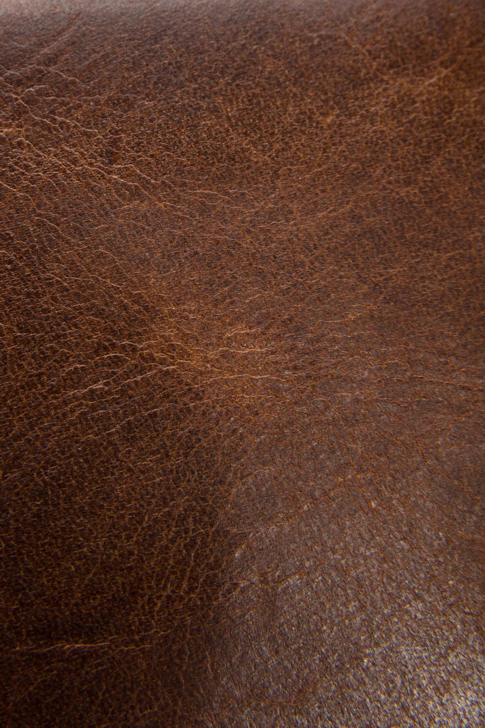 Logan Cognac Billfold - Cognac